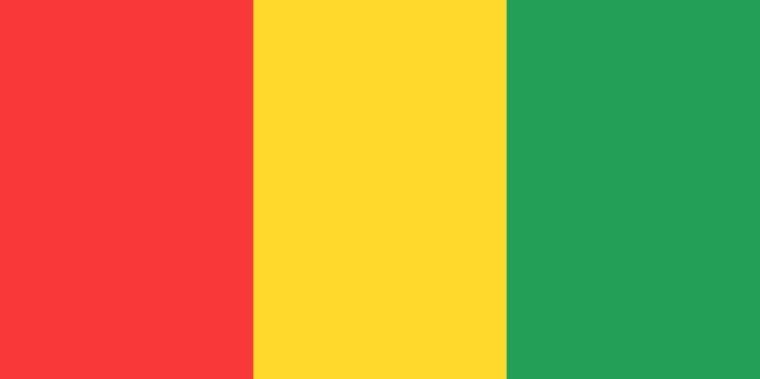 Guinea flag